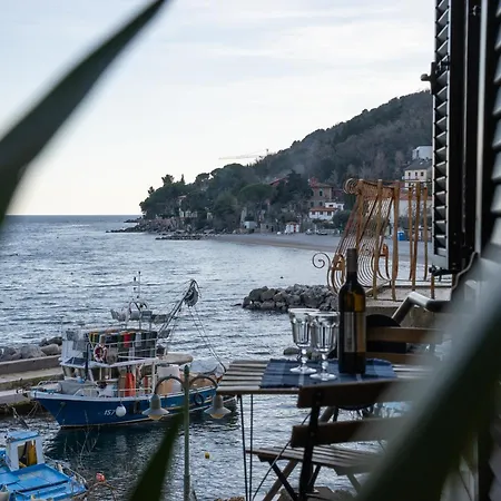 Greta - 50 M From The Sea *